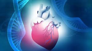 Bridging Genomics to Cardiology Clinical Practice Artificial Intelligence in Optimizing Polygenic Risk Scores A Systematic Review
